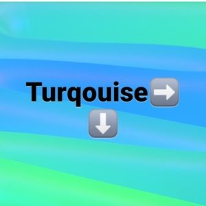NWT- Turqouise